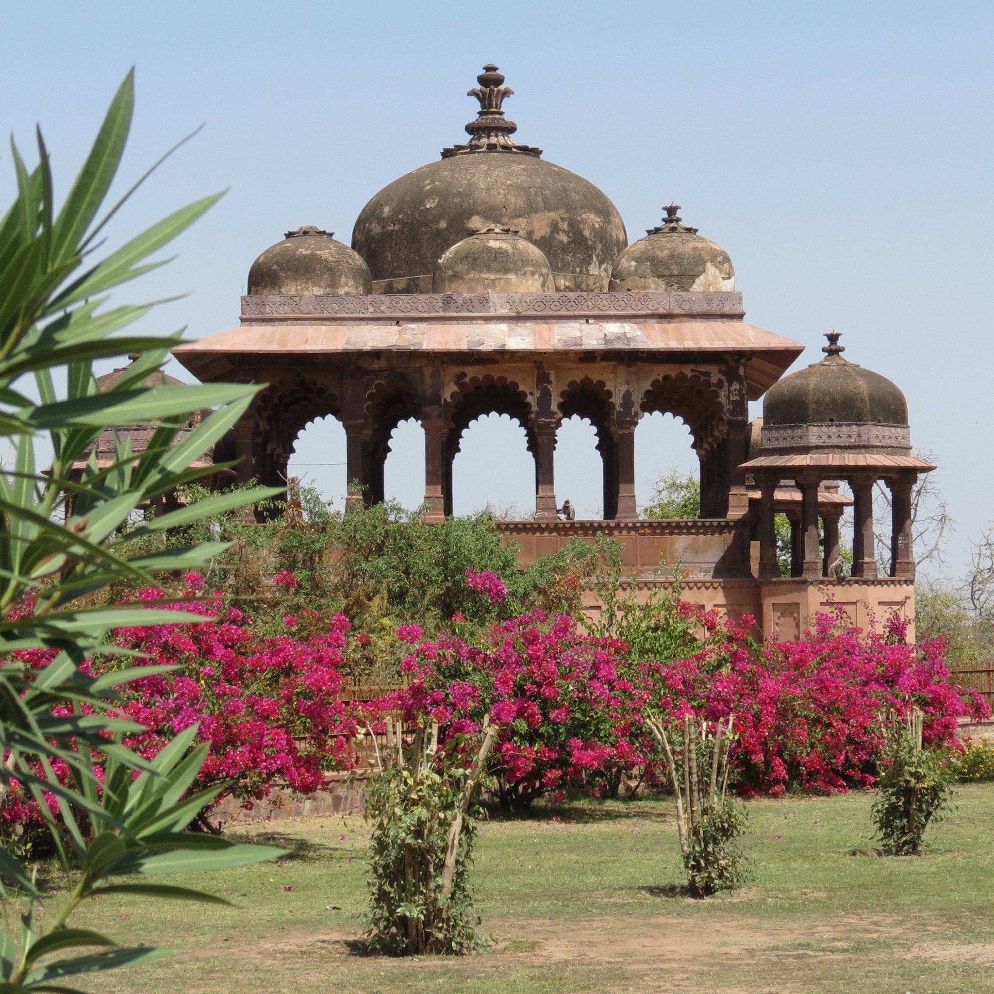 ranthambore fort tours