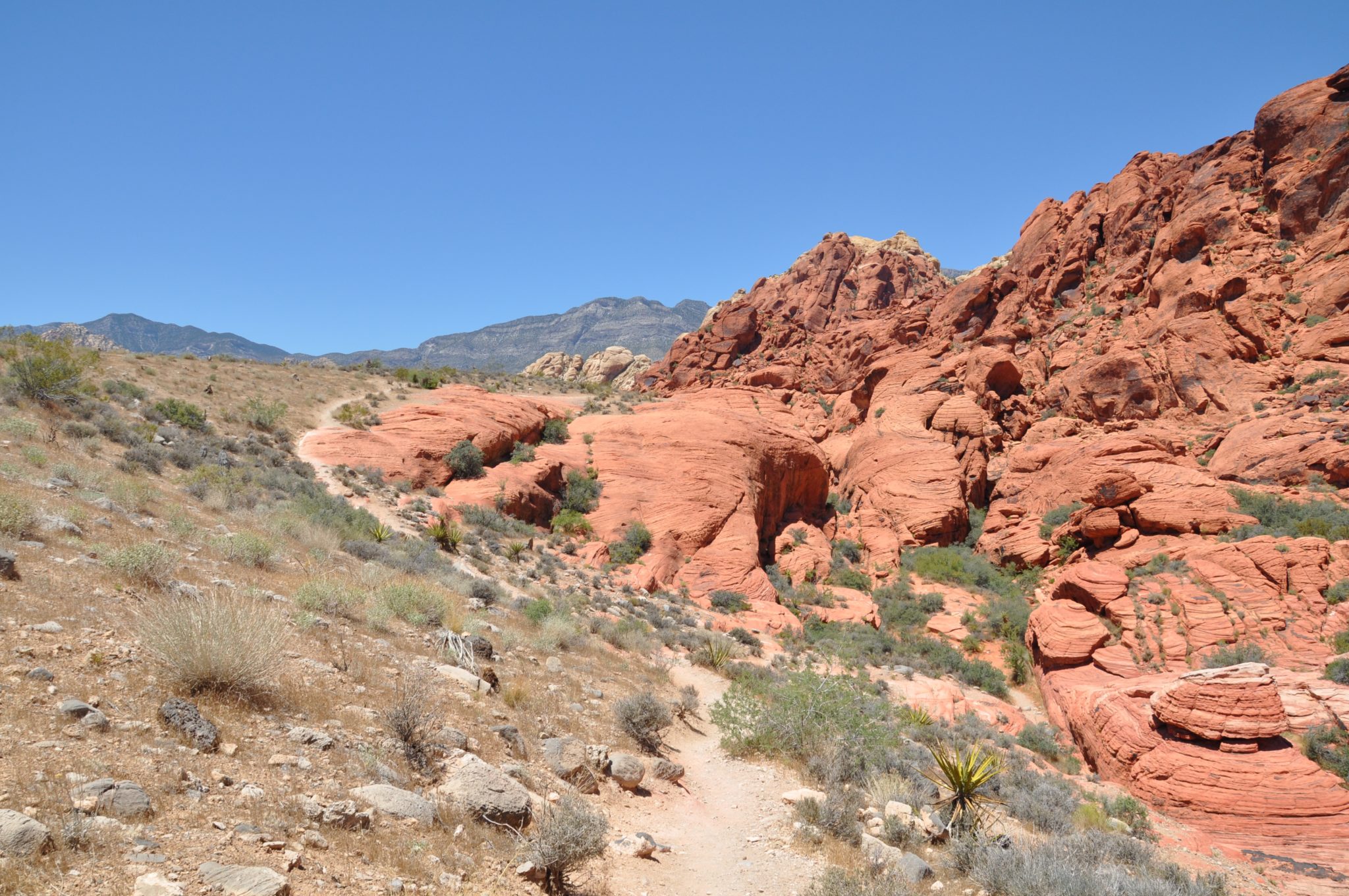 Visiting The Red Rock Canyon National Conservation Area (Las Vegas, NV) - Flying High On Points