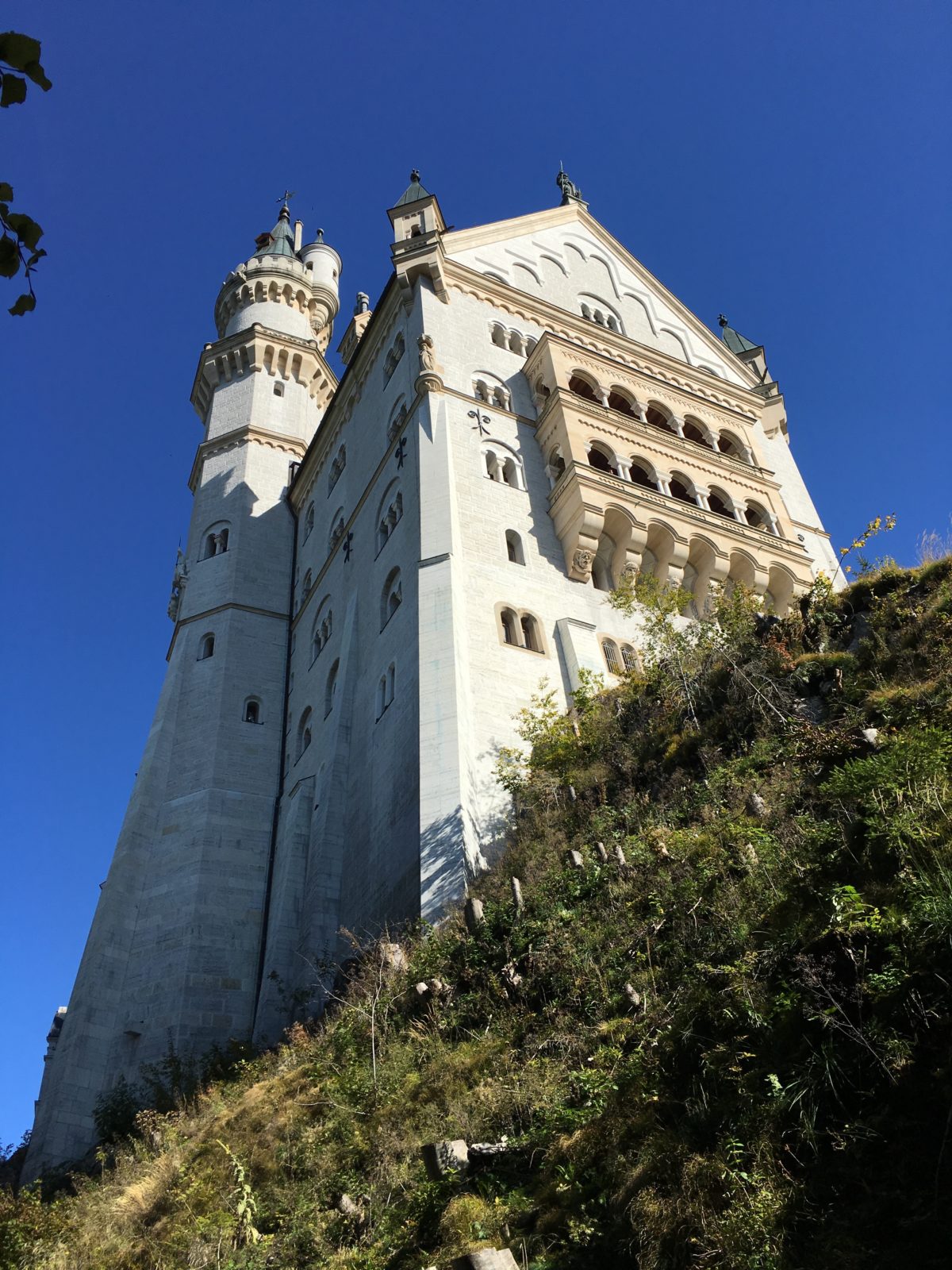 gray line tours neuschwanstein