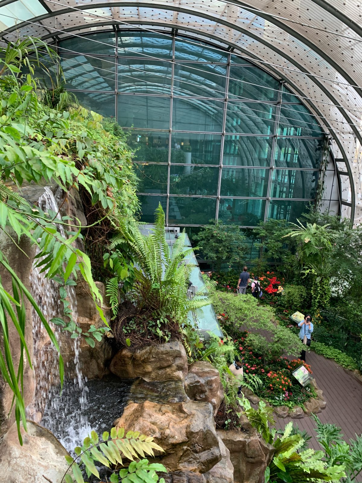 Visiting The Butterfly  Garden  At Changi  International  