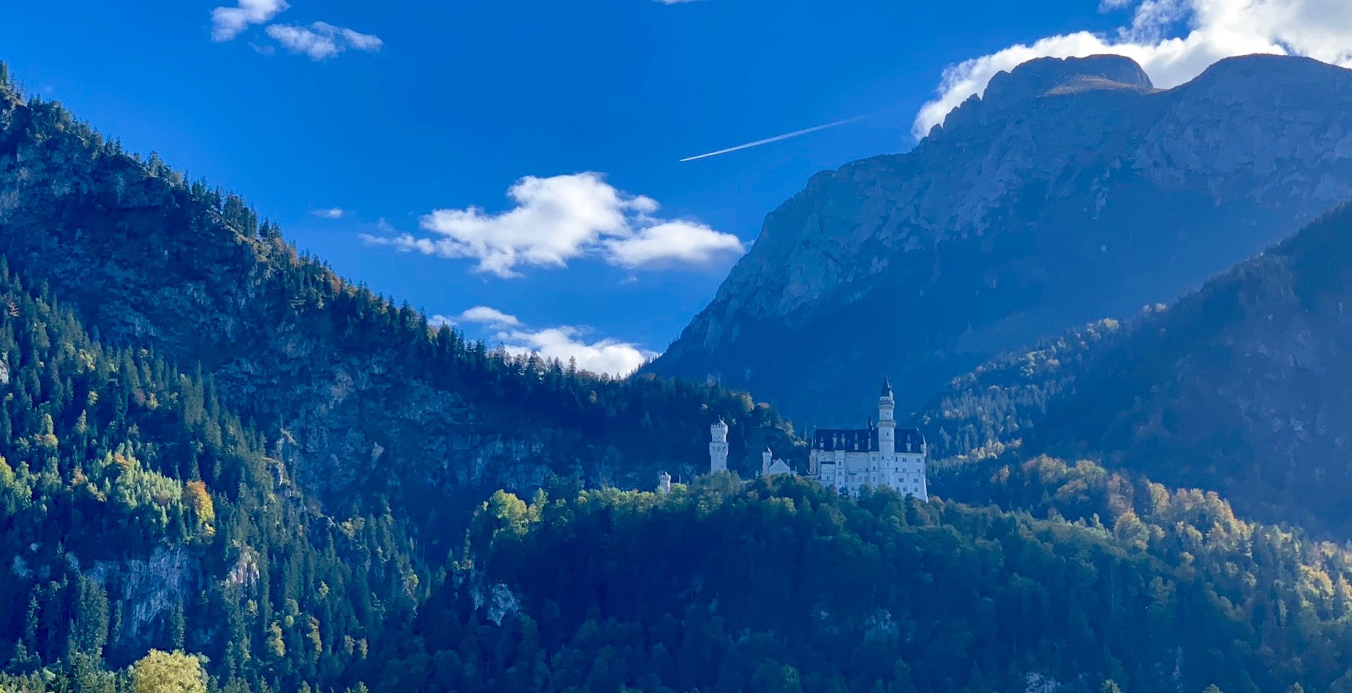 gray line tours neuschwanstein