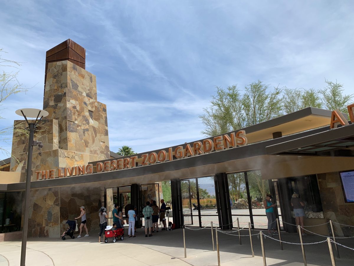 starry safari living desert