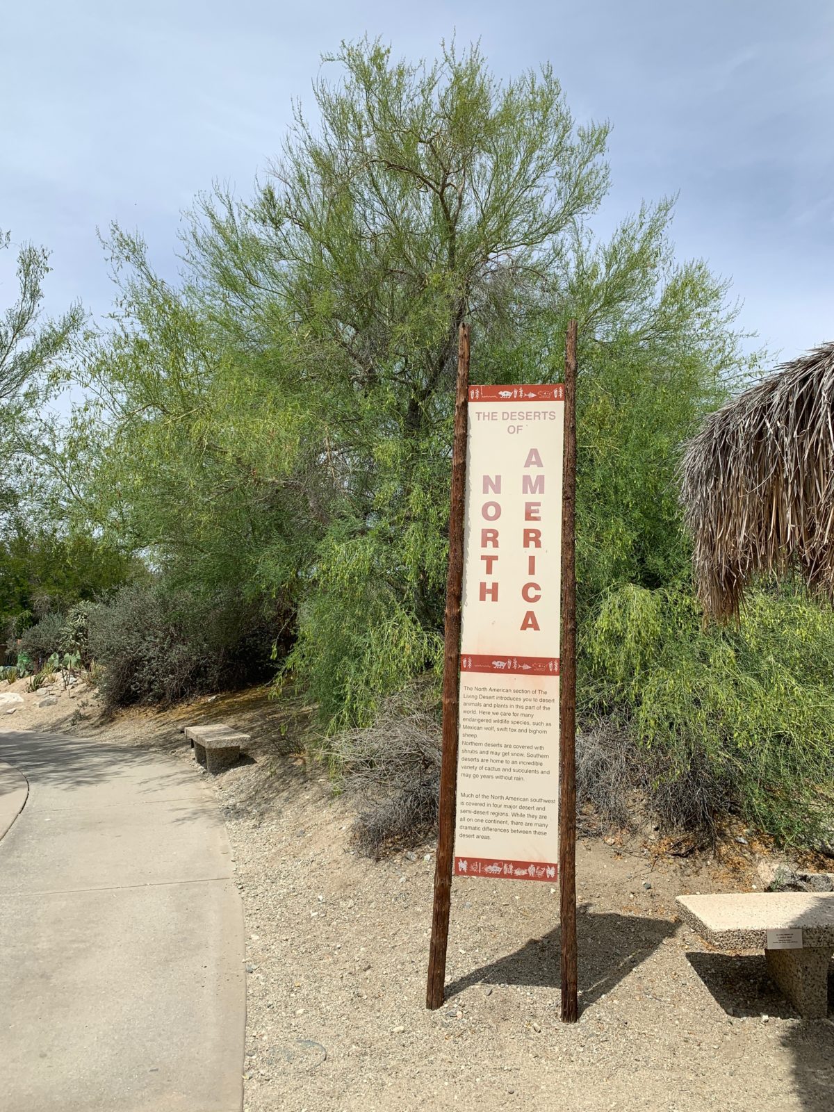 starry safari living desert