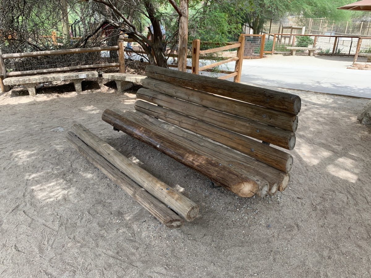 starry safari living desert