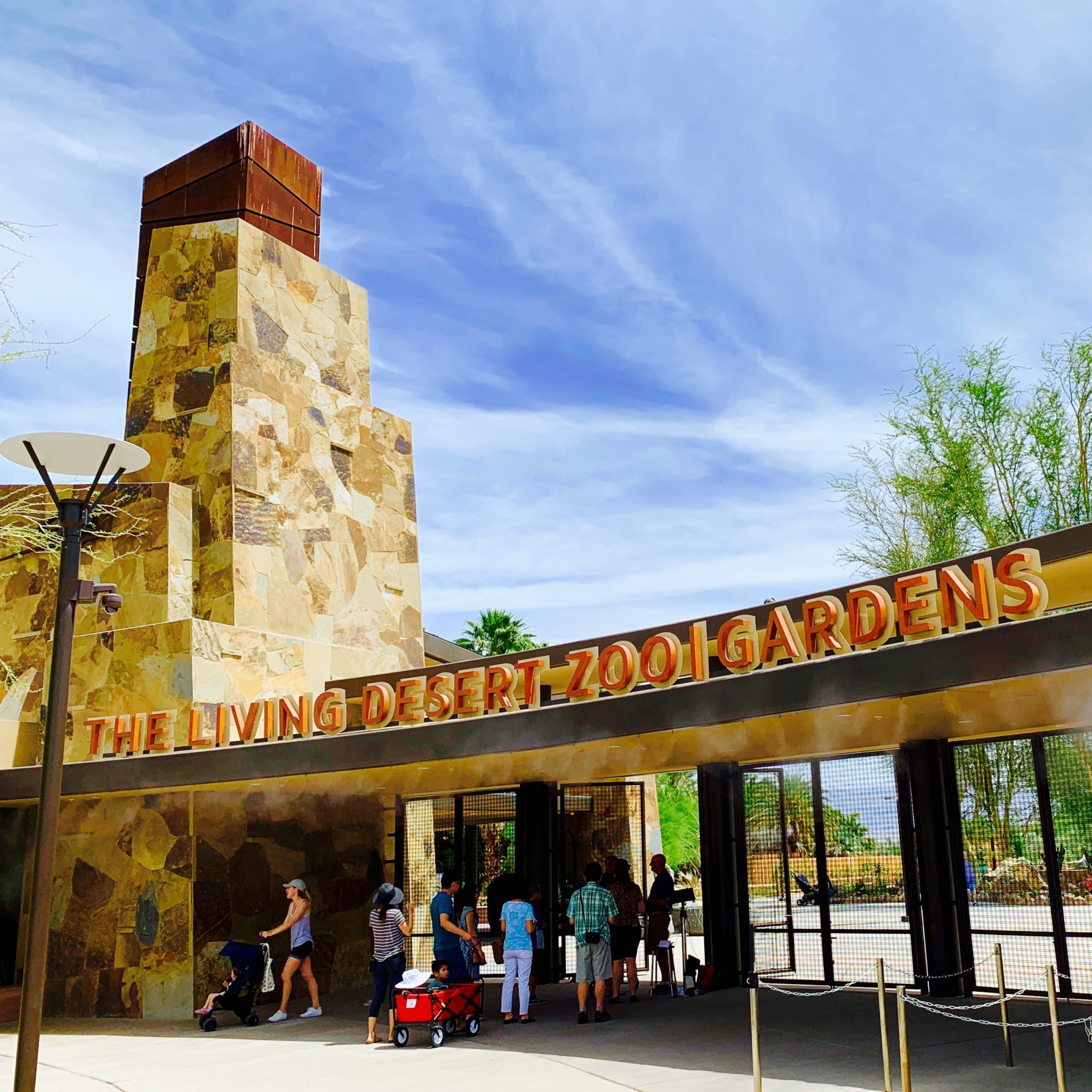 starry safari living desert