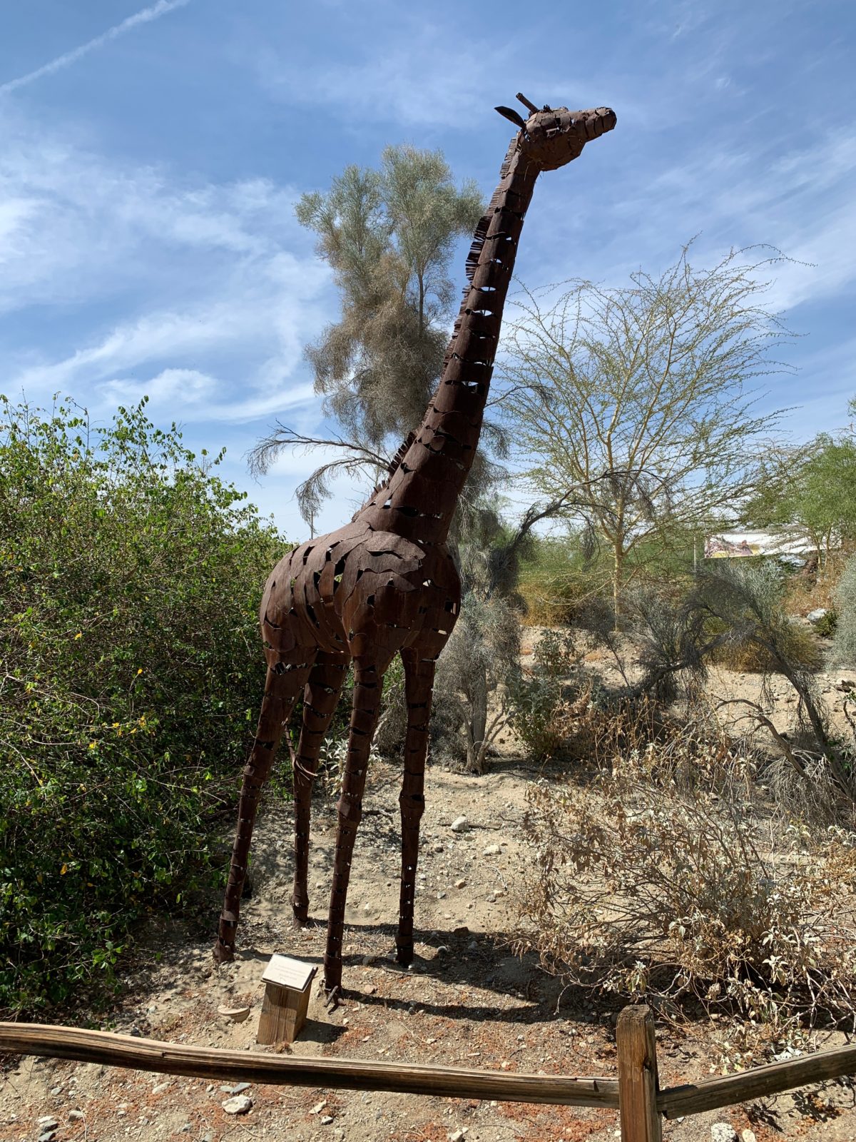 starry safari living desert