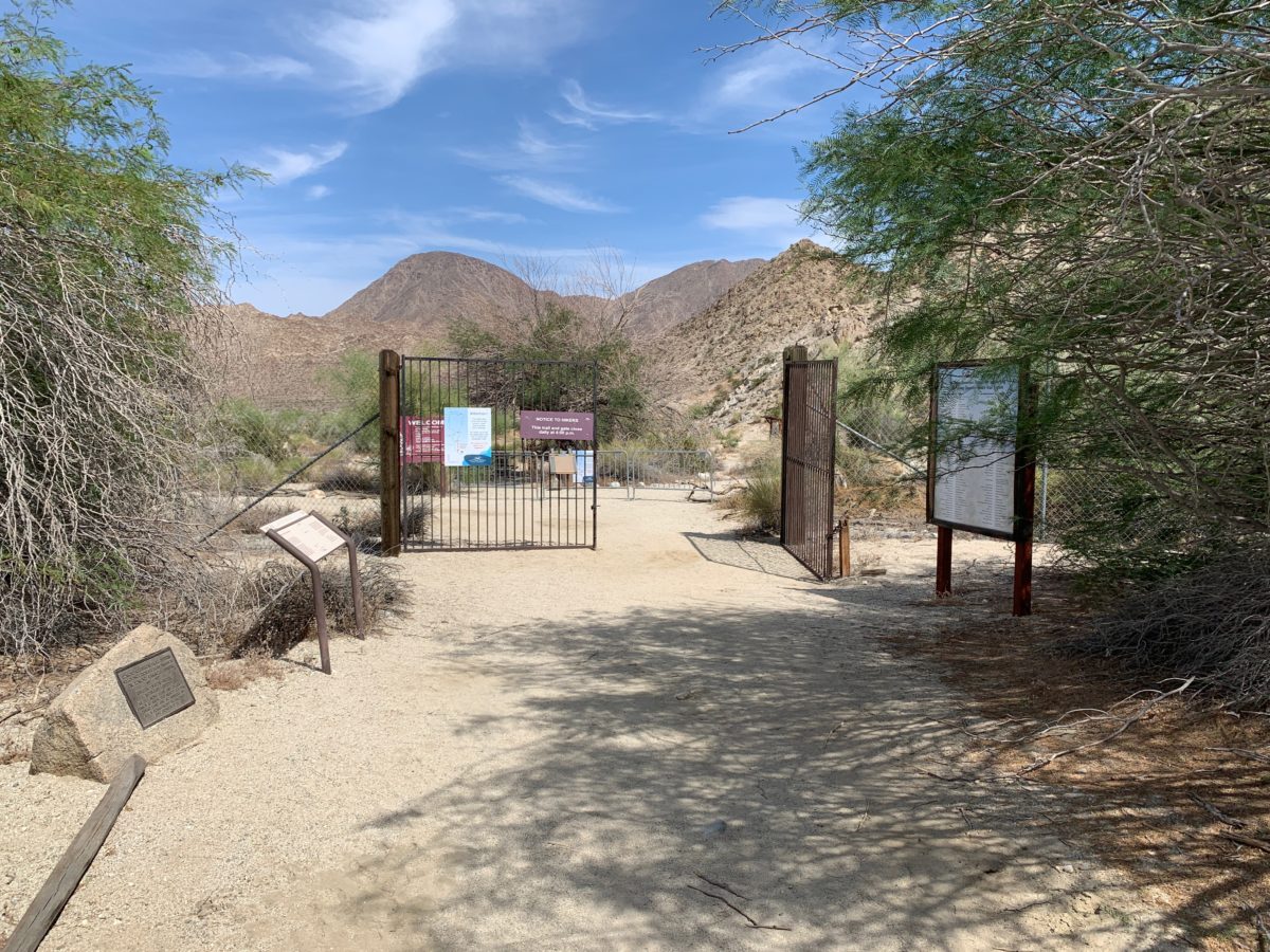 starry safari living desert